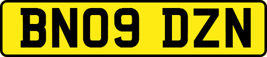 BN09DZN