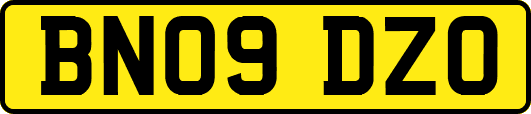 BN09DZO