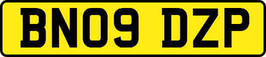 BN09DZP