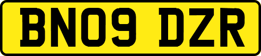 BN09DZR