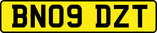 BN09DZT