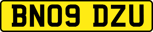 BN09DZU