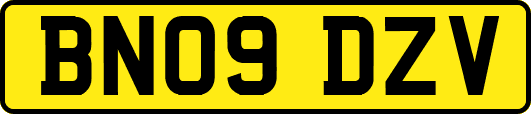 BN09DZV