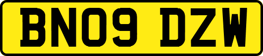 BN09DZW