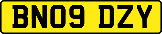 BN09DZY