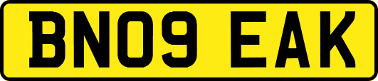 BN09EAK