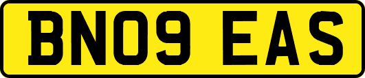 BN09EAS