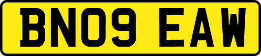 BN09EAW