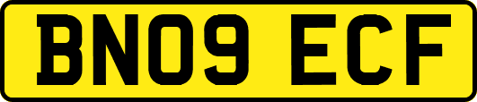BN09ECF