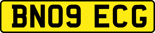 BN09ECG