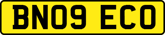 BN09ECO