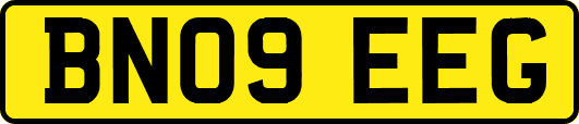 BN09EEG