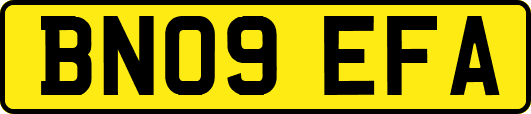BN09EFA