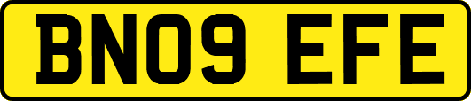 BN09EFE