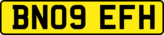 BN09EFH