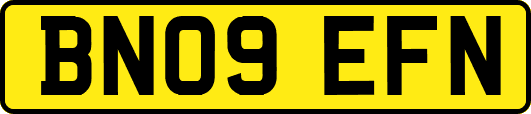 BN09EFN