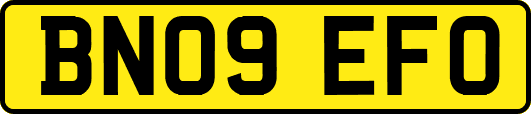 BN09EFO