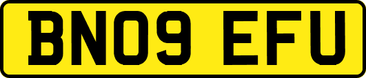 BN09EFU