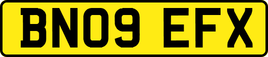BN09EFX