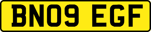 BN09EGF