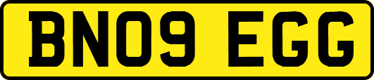 BN09EGG
