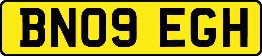 BN09EGH