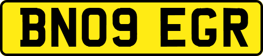 BN09EGR