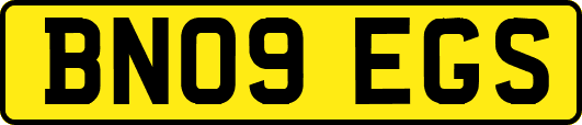 BN09EGS