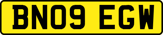 BN09EGW