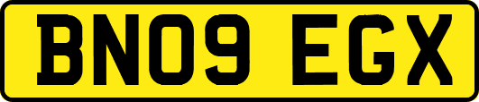BN09EGX