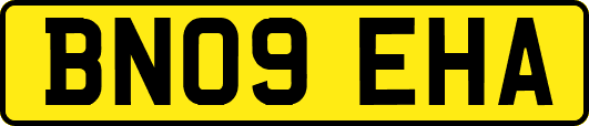 BN09EHA