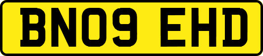BN09EHD