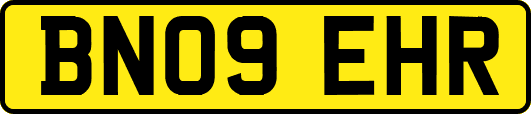 BN09EHR