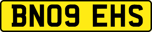 BN09EHS