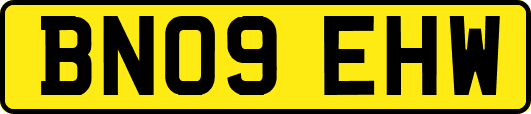 BN09EHW