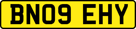 BN09EHY
