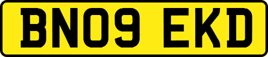 BN09EKD
