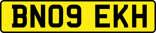 BN09EKH