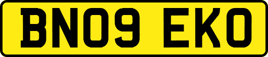 BN09EKO