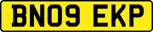 BN09EKP