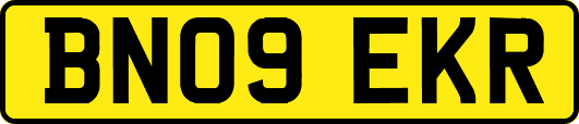 BN09EKR