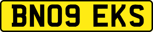 BN09EKS
