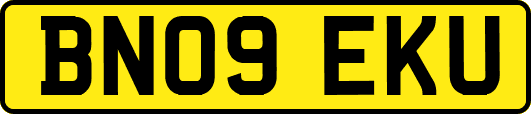 BN09EKU