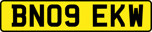 BN09EKW