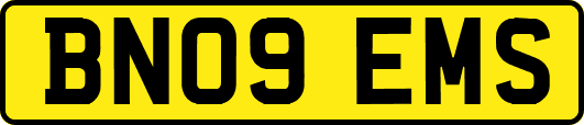 BN09EMS