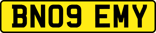 BN09EMY