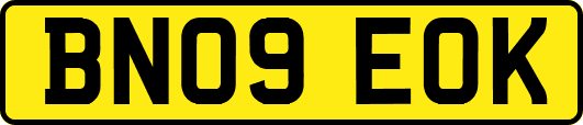 BN09EOK