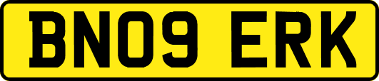 BN09ERK