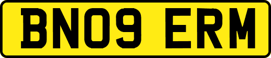 BN09ERM