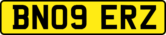 BN09ERZ